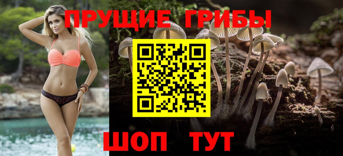 купить   Галлюциногенные грибы Psilocybe  Галлюциногенные грибы MAGIC MUSHROOMS  Вход с VPN  Сорочинск 